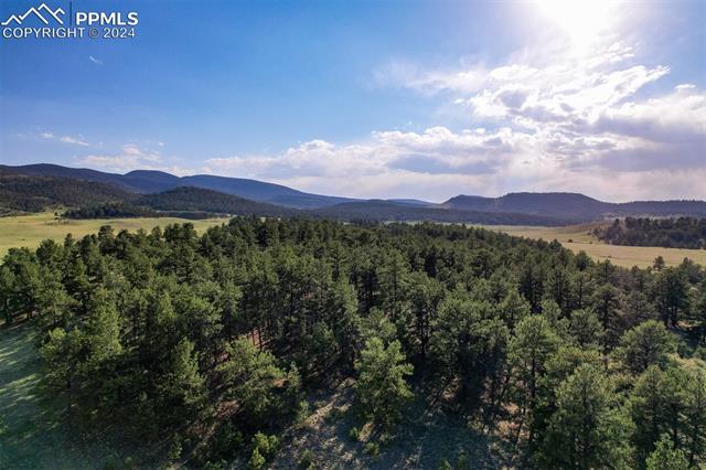 MLS Image for 5681  County Road 59  ,Florissant, Colorado