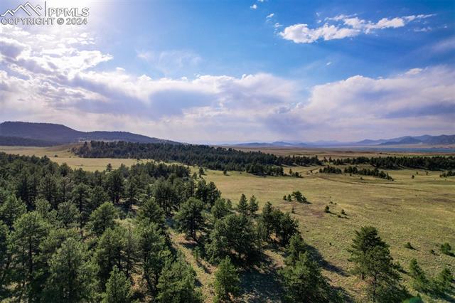 MLS Image for 5681  County Road 59  ,Florissant, Colorado