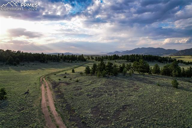 MLS Image for 5681  County Road 59  ,Florissant, Colorado