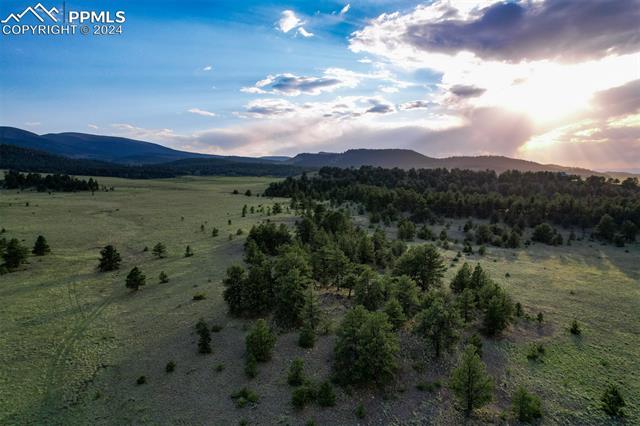 MLS Image for 5681  County Road 59  ,Florissant, Colorado