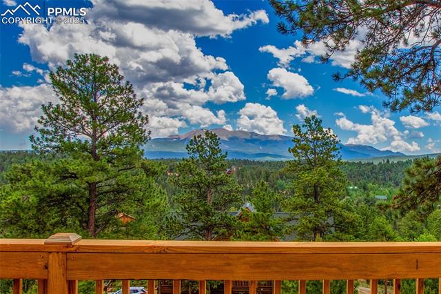 MLS Image for 516  Cottonwood Lake  ,Divide, Colorado