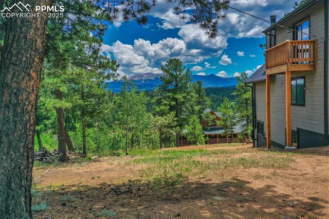 MLS Image for 516  Cottonwood Lake  ,Divide, Colorado