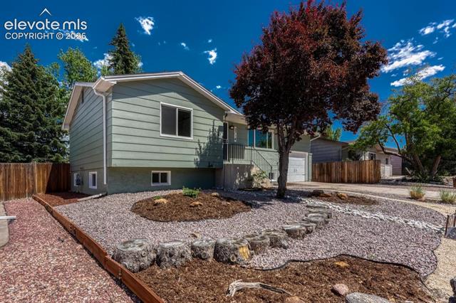 MLS Image for 3714  Anemone  ,Colorado Springs, Colorado