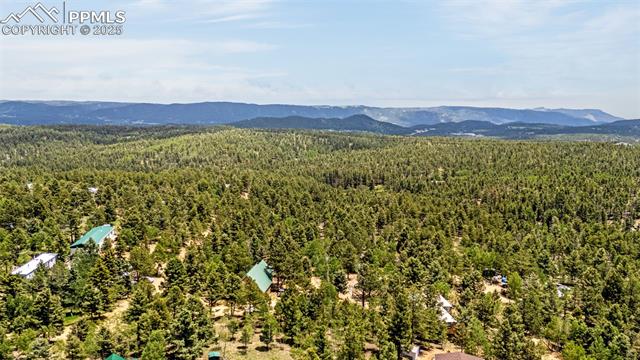 MLS Image for 269  Evergreen  ,Woodland Park, Colorado