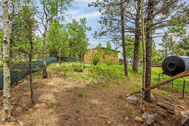 MLS Image for 269  Evergreen  ,Woodland Park, Colorado
