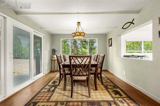 MLS Image for 269  Evergreen  ,Woodland Park, Colorado