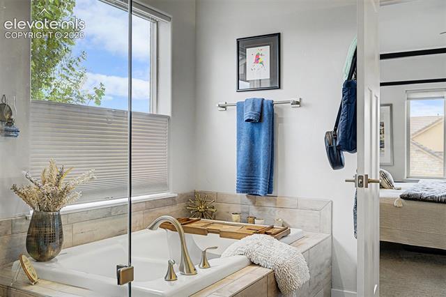 MLS Image for 1455  Symphony  ,Monument, Colorado