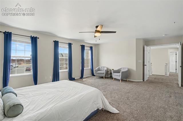 MLS Image for 5550  City Vista  ,Colorado Springs, Colorado