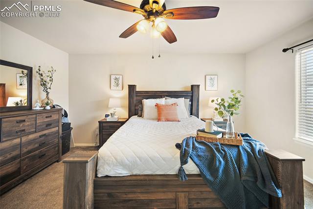 MLS Image for 6973  Red Cardinal  ,Colorado Springs, Colorado