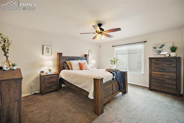 MLS Image for 6973  Red Cardinal  ,Colorado Springs, Colorado