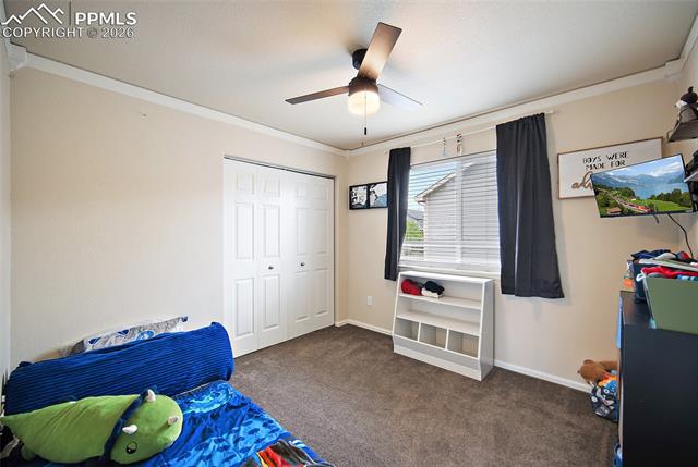 MLS Image for 6973  Red Cardinal  ,Colorado Springs, Colorado