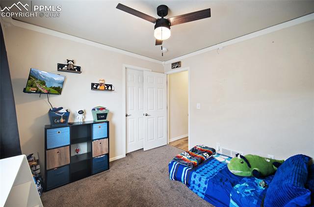 MLS Image for 6973  Red Cardinal  ,Colorado Springs, Colorado