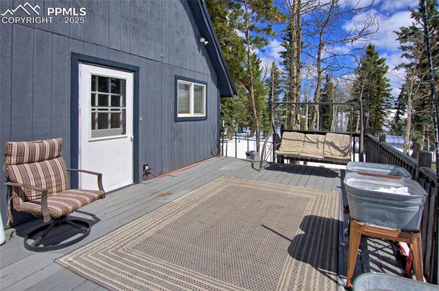 MLS Image for 397  Will Scarlet  ,Divide, Colorado