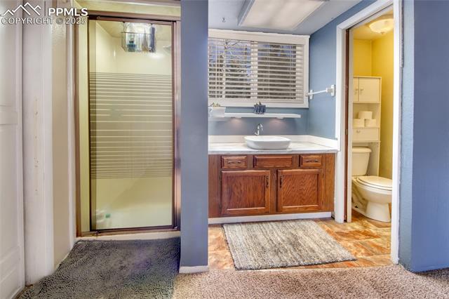 MLS Image for 397  Will Scarlet  ,Divide, Colorado