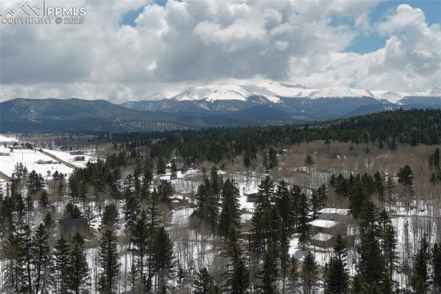 MLS Image for 397  Will Scarlet  ,Divide, Colorado