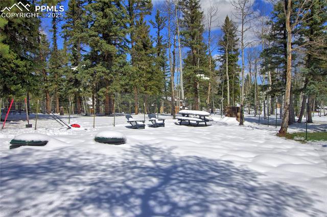 MLS Image for 397  Will Scarlet  ,Divide, Colorado