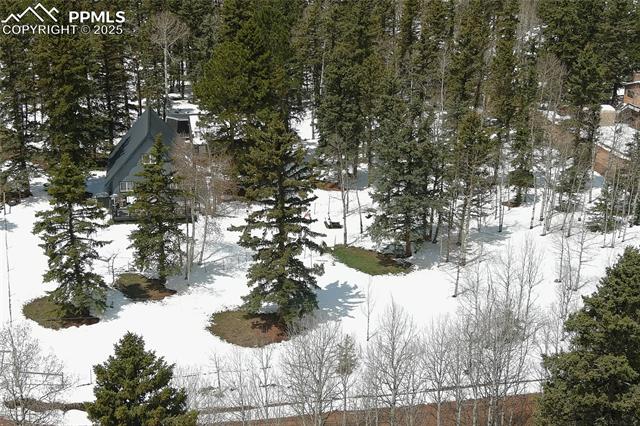 MLS Image for 397  Will Scarlet  ,Divide, Colorado