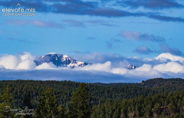 MLS Image for 13035  Deer Ridge  ,Larkspur, Colorado