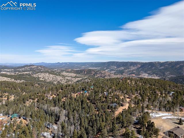 MLS Image for 345  Klitowya  ,Woodland Park, Colorado