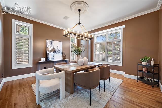 MLS Image for 6230  Spurwood  ,Colorado Springs, Colorado