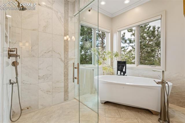 MLS Image for 1705  Oakmoor  ,Colorado Springs, Colorado