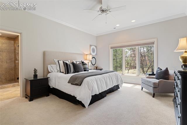 MLS Image for 1705  Oakmoor  ,Colorado Springs, Colorado