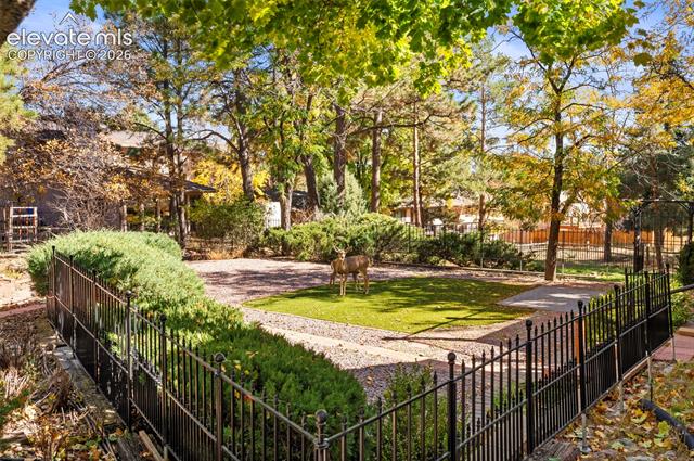MLS Image for 570  Big Valley  ,Colorado Springs, Colorado