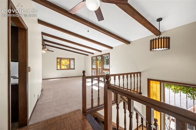 MLS Image for 570  Big Valley  ,Colorado Springs, Colorado