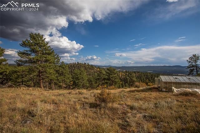 MLS Image for 518  Drees  ,Florissant, Colorado