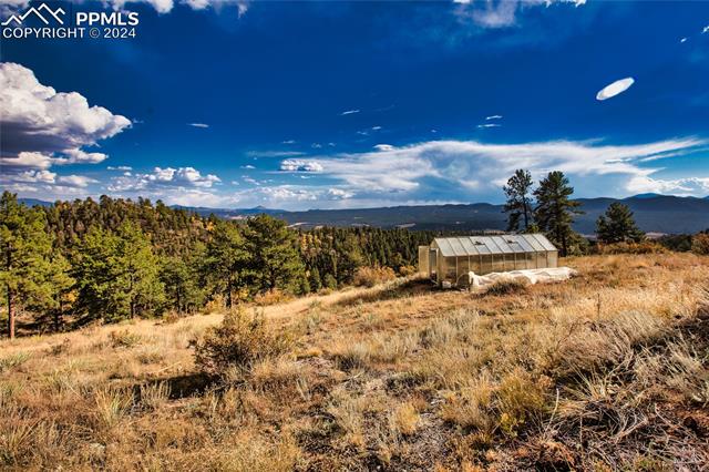 MLS Image for 518  Drees  ,Florissant, Colorado