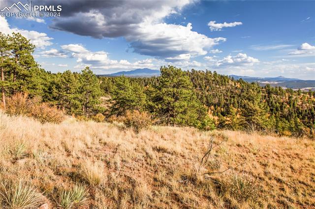 MLS Image for 518  Drees  ,Florissant, Colorado