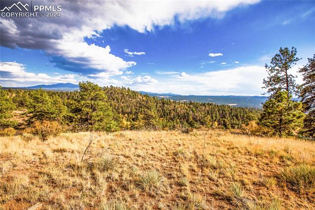 MLS Image for 518  Drees  ,Florissant, Colorado