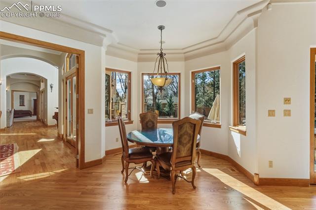 MLS Image for 1  Polo  ,Colorado Springs, Colorado