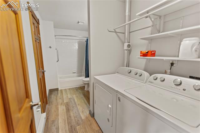 MLS Image for 867  Twin Lakes  ,Divide, Colorado