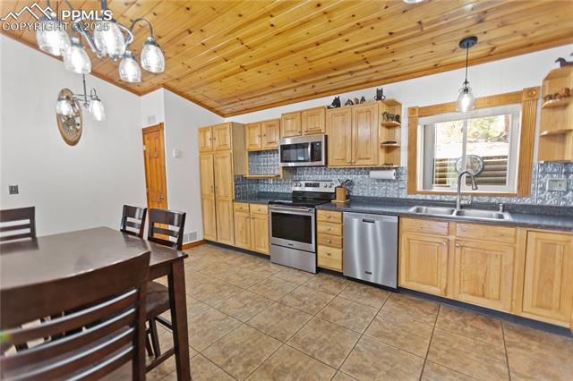 MLS Image for 867  Twin Lakes  ,Divide, Colorado