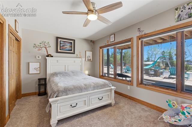 MLS Image for 19410  Bright Wing  ,Colorado Springs, Colorado