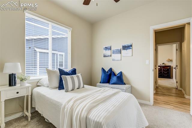 MLS Image for 5849  Brave Eagle  ,Colorado Springs, Colorado