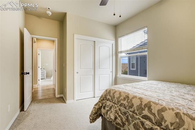 MLS Image for 5849  Brave Eagle  ,Colorado Springs, Colorado