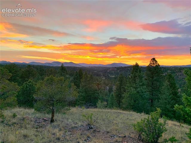MLS Image for 986  Apache  ,Florissant, Colorado