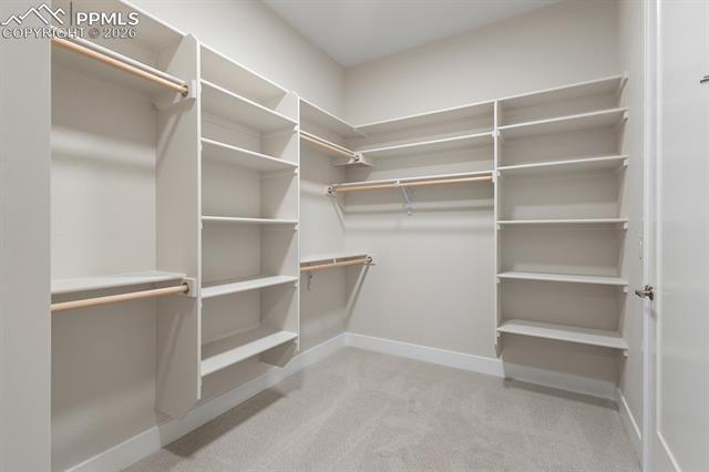 MLS Image for 17154  Twinkling Star  ,Colorado Springs, Colorado