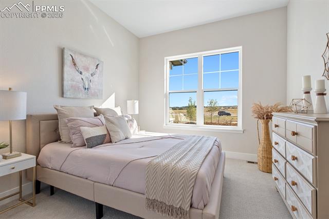 MLS Image for 17154  Twinkling Star  ,Colorado Springs, Colorado