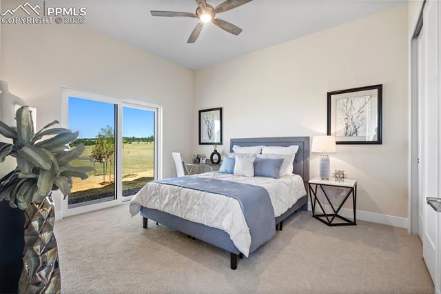 MLS Image for 17154  Twinkling Star  ,Colorado Springs, Colorado