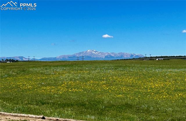 MLS Image for 17154  Twinkling Star  ,Colorado Springs, Colorado