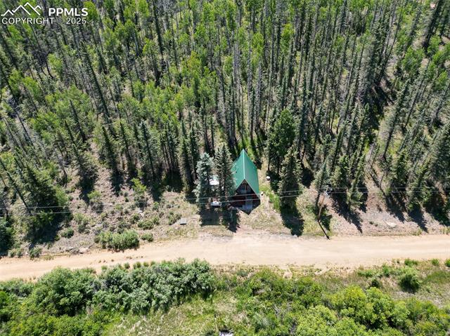 MLS Image for 274  Midland  ,Florissant, Colorado