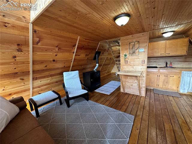 MLS Image for 274  Midland  ,Florissant, Colorado