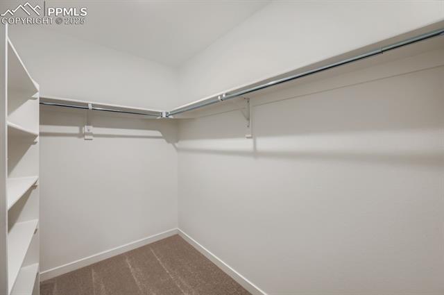 MLS Image for 1154  Smiley Creek  ,Colorado Springs, Colorado