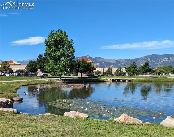 MLS Image for 12931  Brookhill  ,Colorado Springs, Colorado