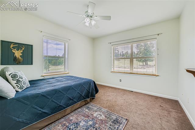 MLS Image for 245  Maid Marian  ,Divide, Colorado