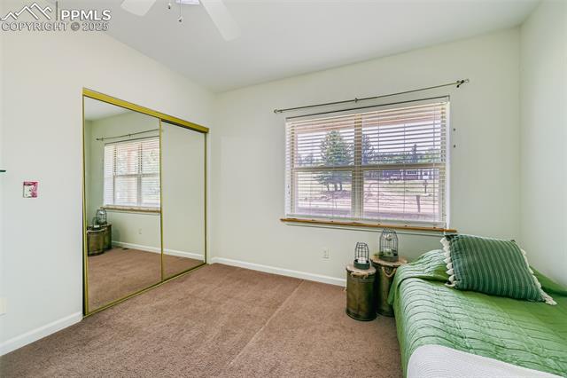 MLS Image for 245  Maid Marian  ,Divide, Colorado