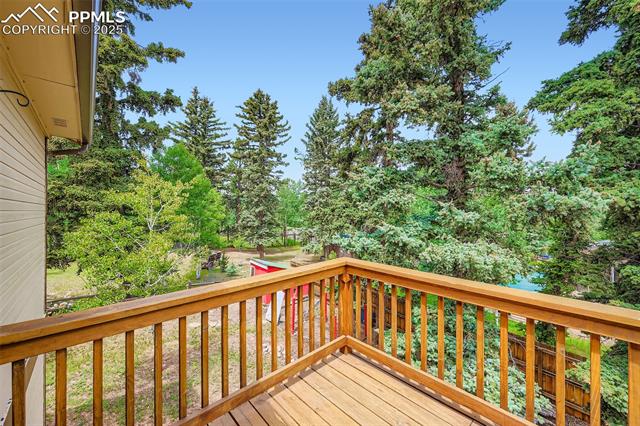 MLS Image for 245  Maid Marian  ,Divide, Colorado